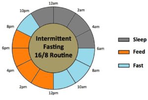 Read more about the article Intermittent Fasting: Methods, Benefits, and Safety