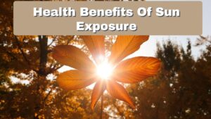 Read more about the article 10 Reasons Why Morning Sunlight is the Secret to Better Health!