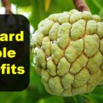 Custard apple benefits