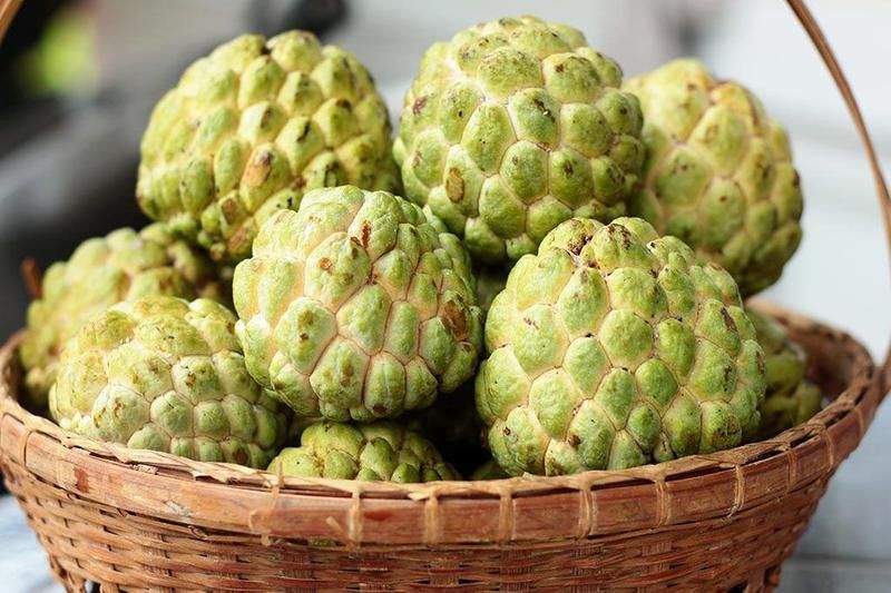 Custard apple benefits